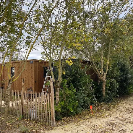 Lodge Domek letniskowy *